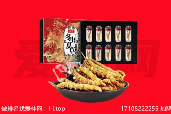宜都市回收虫草.jpg
